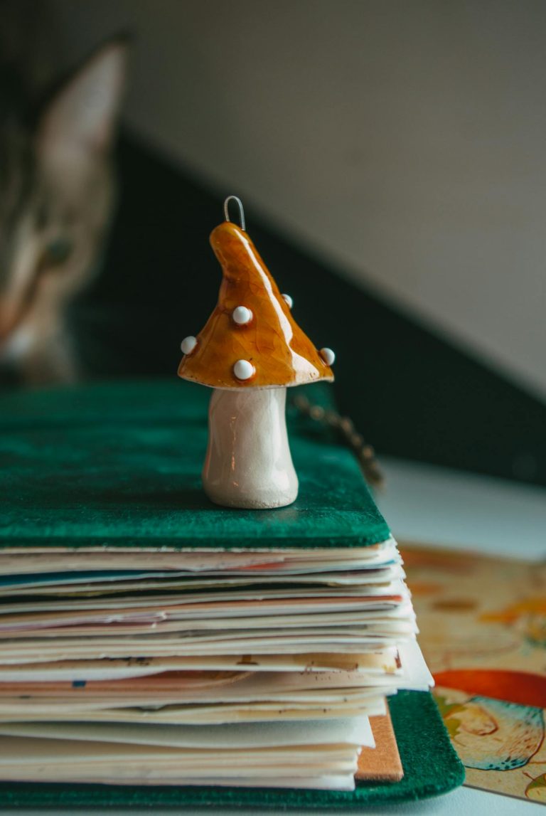 A Figurine of a Mushroom